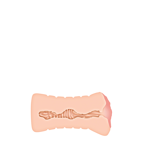 Lisa Ann veštačka vagina