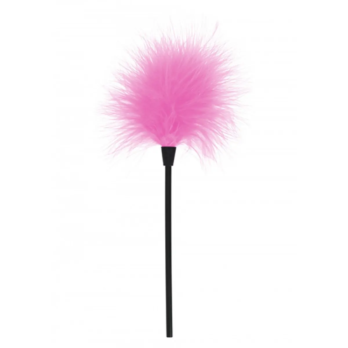 Golicaljka Feather