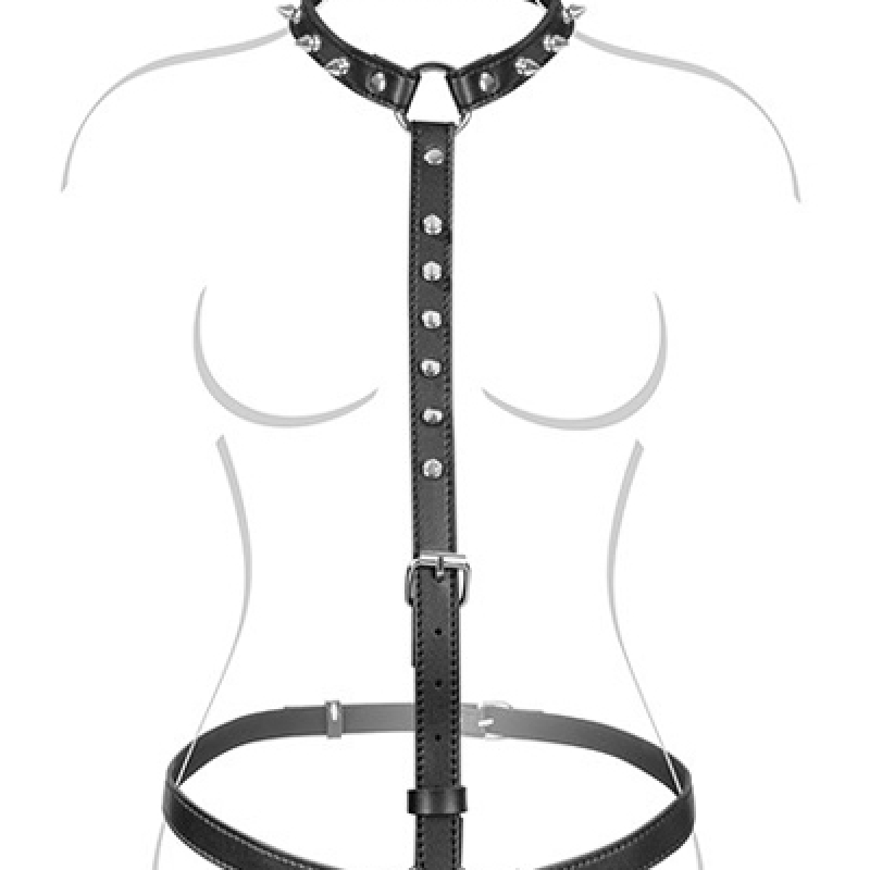Harness 2 FT
