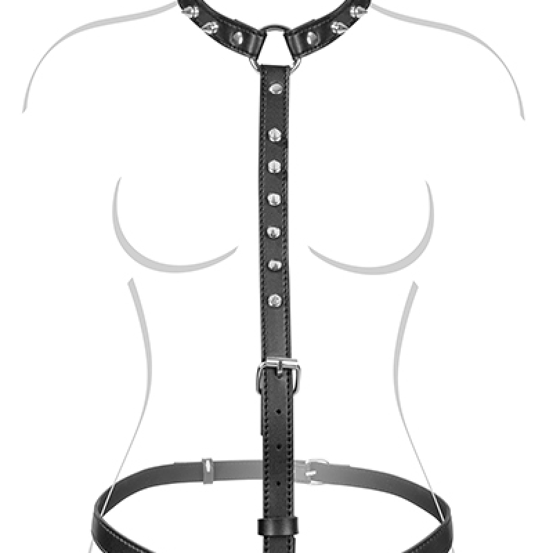 Harness 2 FT