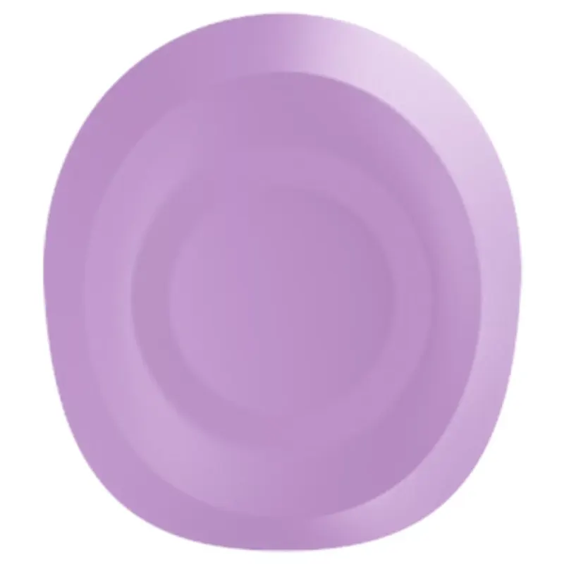 Satisfyer Pro 2 Generation 4 Purple