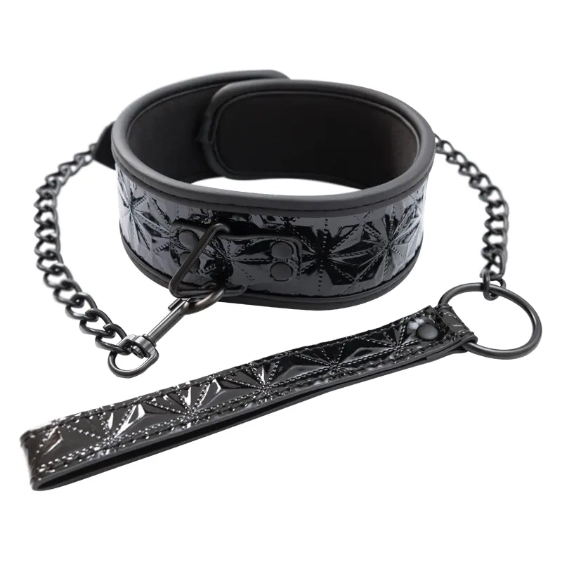 Crna ogrlica sa metalnim povodcem Black Collar and Leash