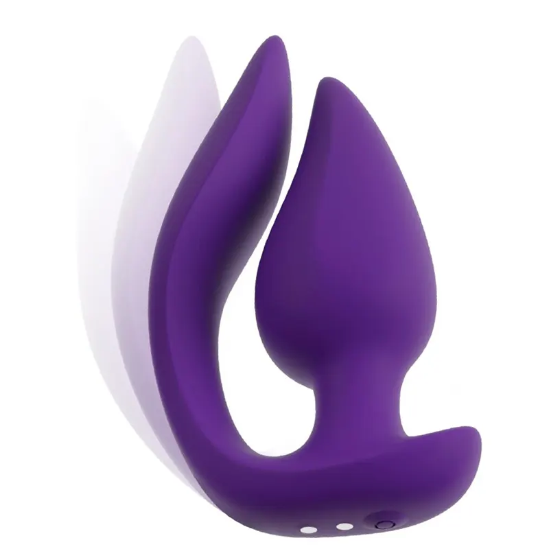RC 2 in 1 Plug & Panty Vibe