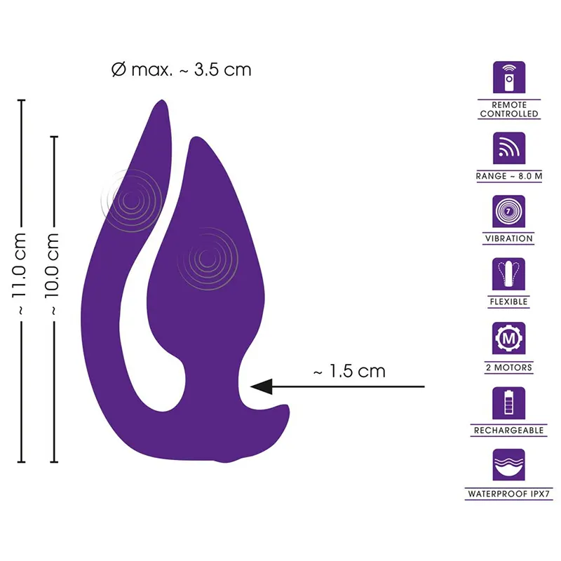 RC 2 in 1 Plug & Panty Vibe